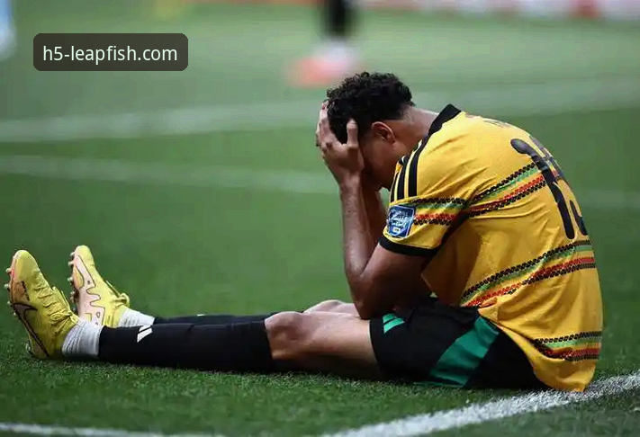 世界杯绝杀赛事追踪操作教程：乐鱼体育平台见证民主刚果52年重返巅峰